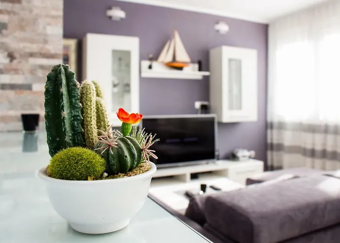 Apartmán Deluxe Miro *